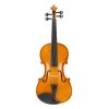 [Do Not Sell on Amazon]Full Size 4/4 Violin Set for Adults Beginners Students with Hard Case,Violin Bow,Shoulder Rest,Rosin,Extra Strings and Sordine